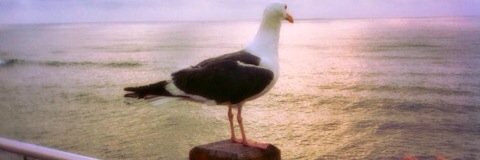 abdu1111's profile banner image