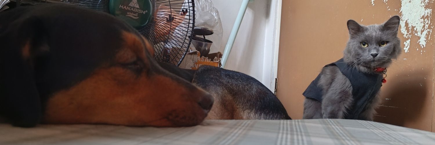 RAPupumpum's profile banner image
