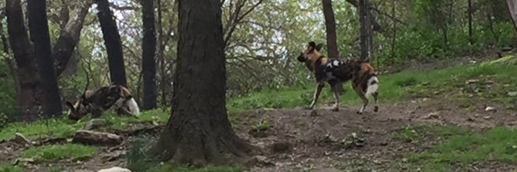 zz_stopp's profile banner image