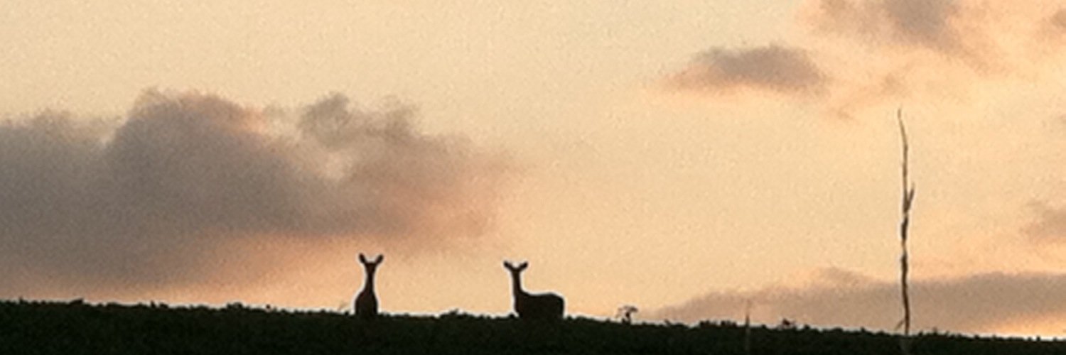 roddge33's profile banner image