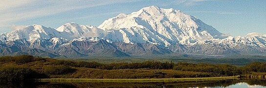 Jason Withington banner