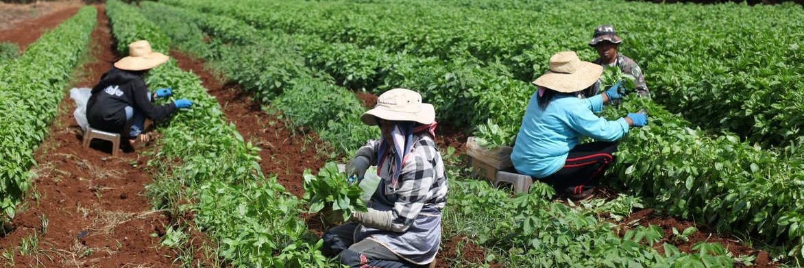 Department of Agriculture and Biosecurity banner