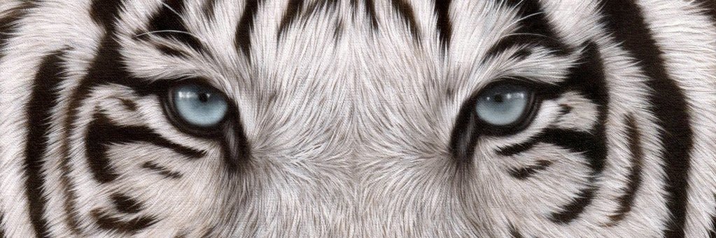 freko5's profile banner image