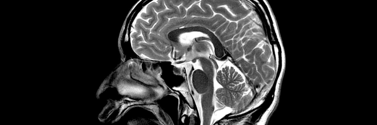 MiNDLab_umich's profile banner image