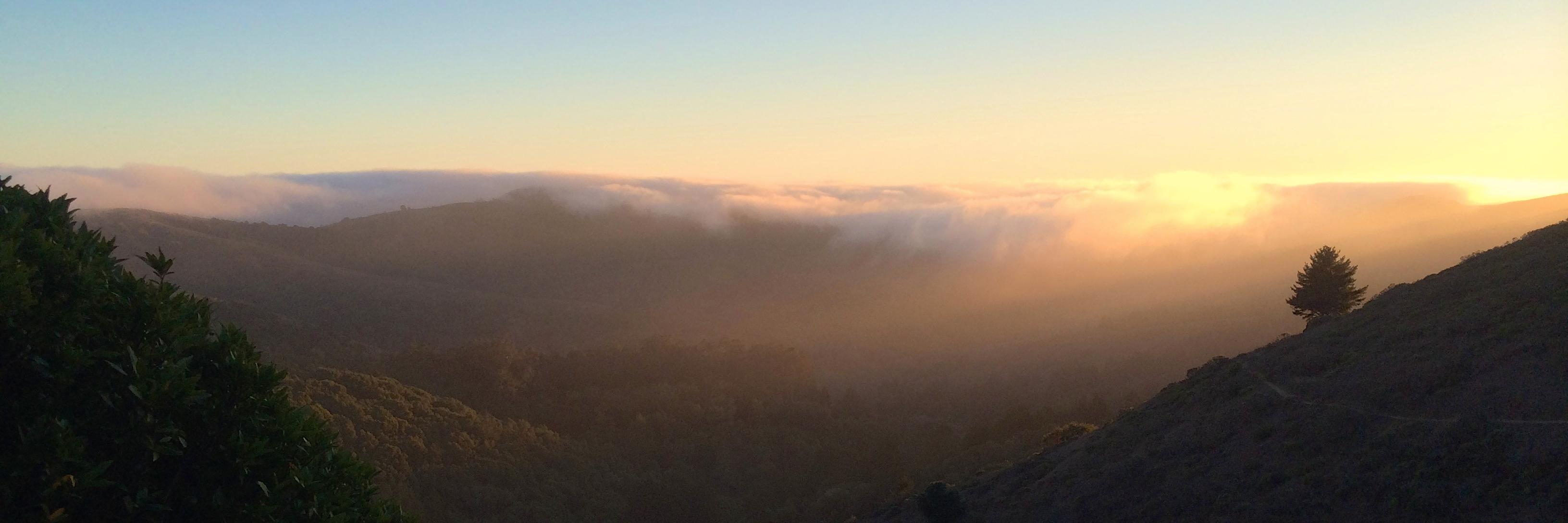 Justin Bateman banner