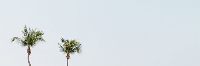 Carls banner