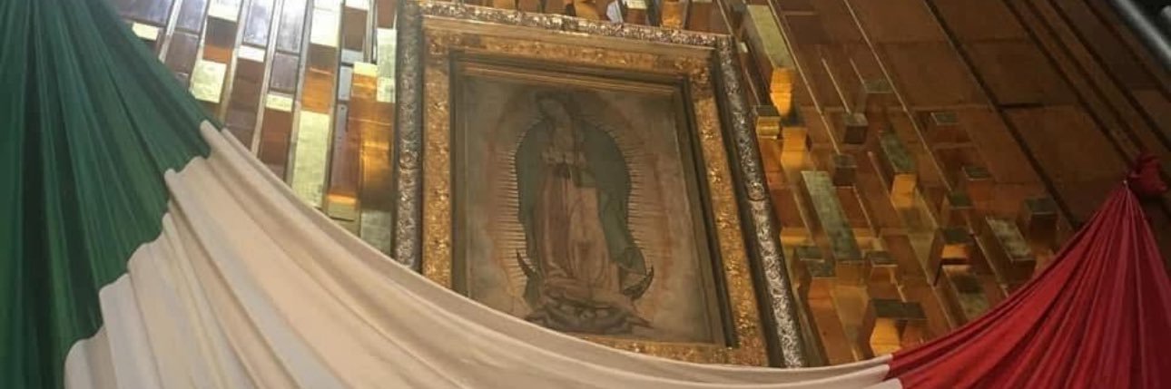 Alexis Walkenstein banner