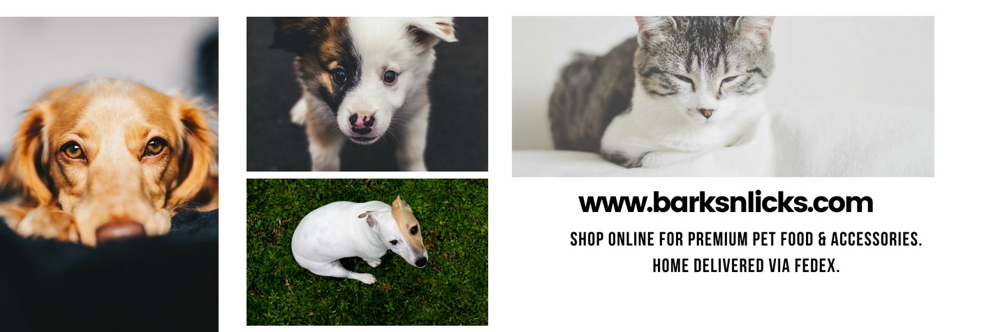 barksnlicks's profile banner image