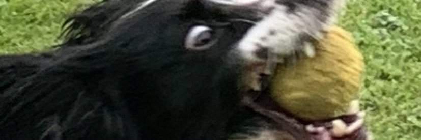 kelsyyyyyyyy's profile banner image