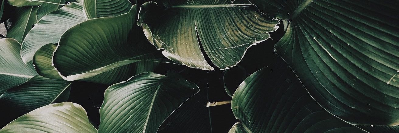 errnnn_'s profile banner image