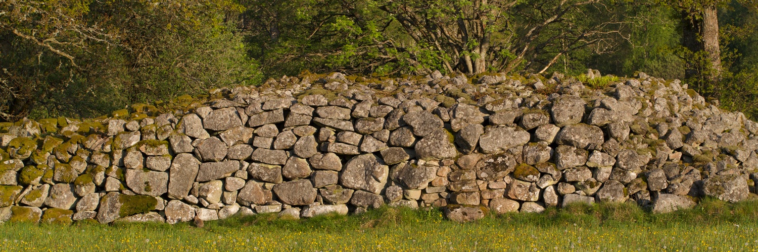 JohanMarand's profile banner image