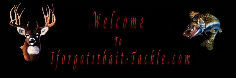 IforgotitbaitTa's profile banner image