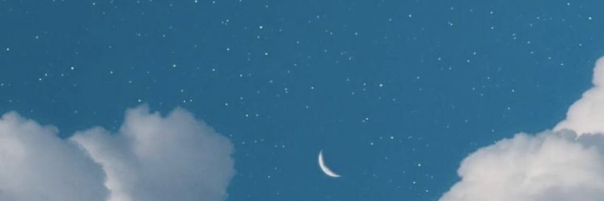 clarawolfc's profile banner image