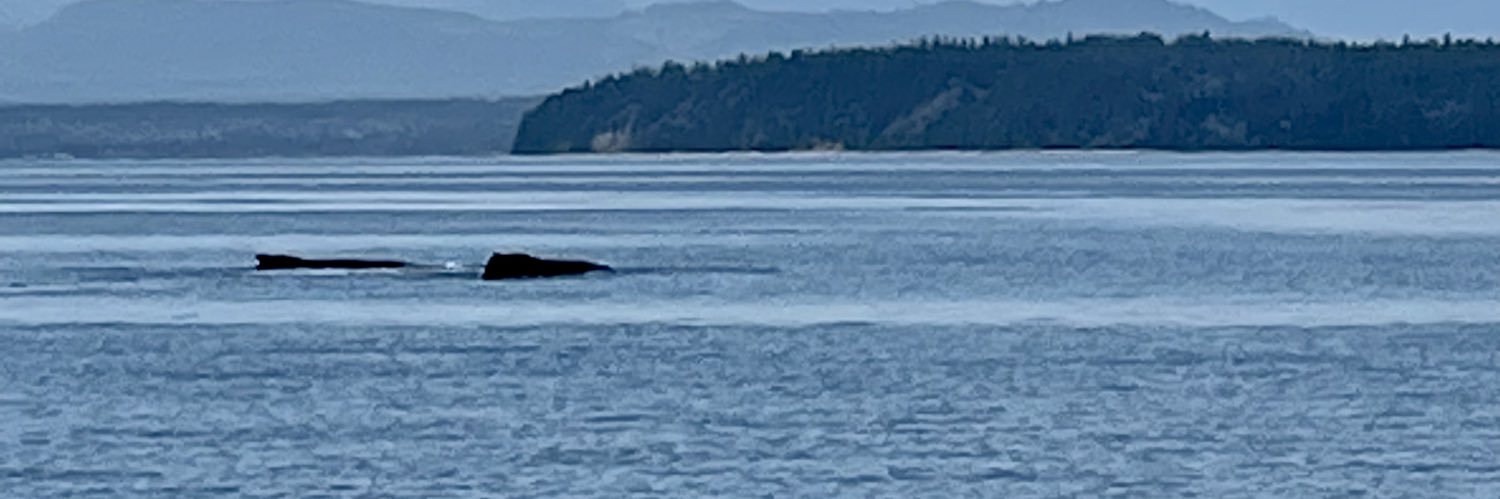 karinruben's profile banner image