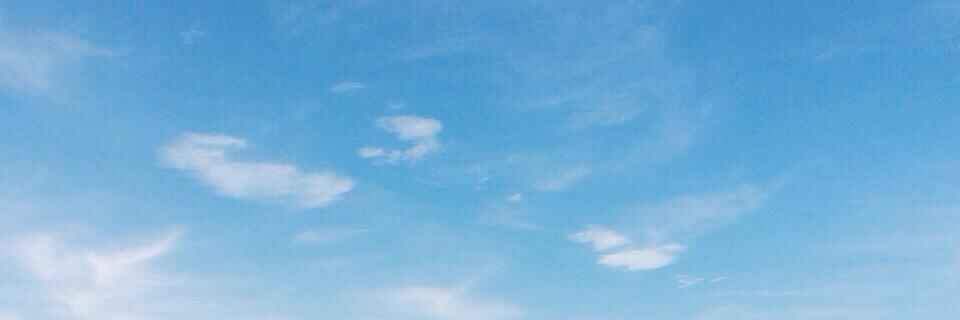 ✿ laura ✿ banner