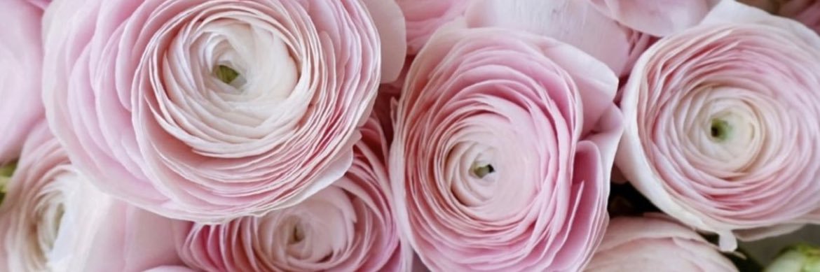 noufaalth's profile banner image