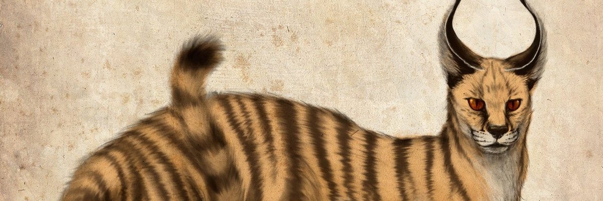 Tankborn's profile banner image