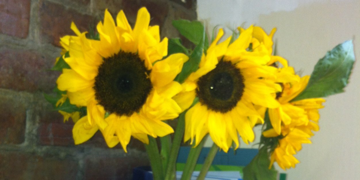 Cleugh13H's profile banner image