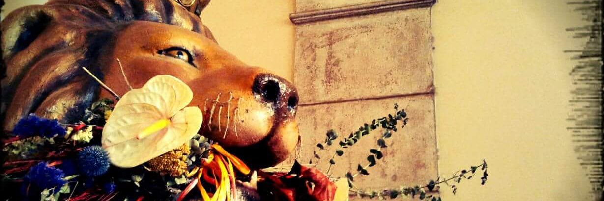 Labnecita's profile banner image