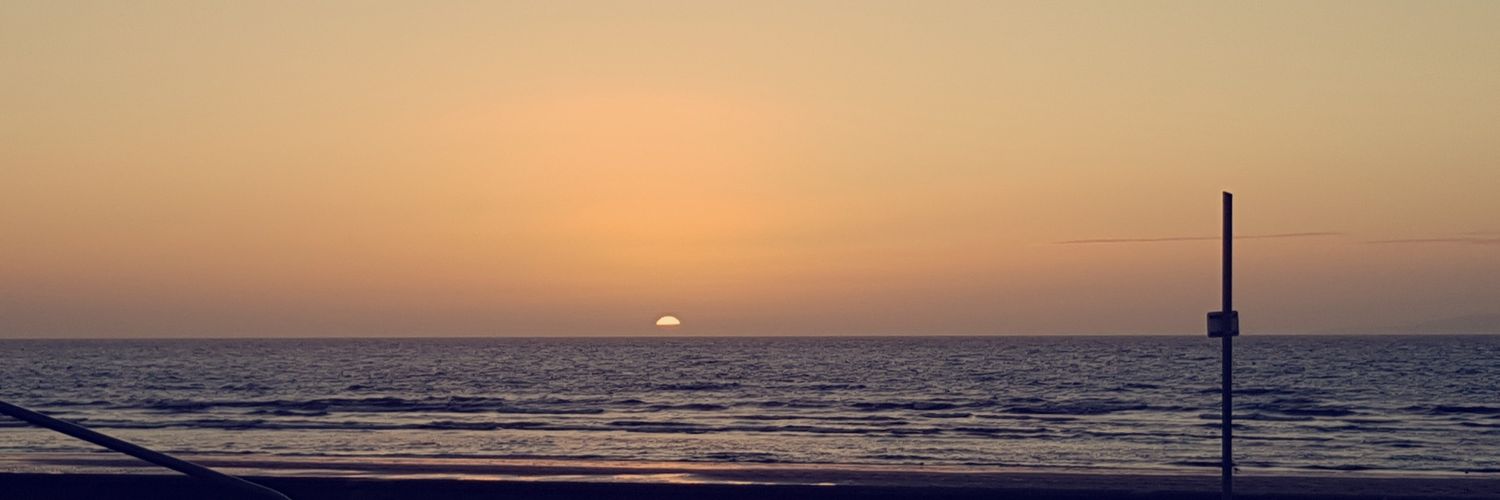 NikiiBee1's profile banner image