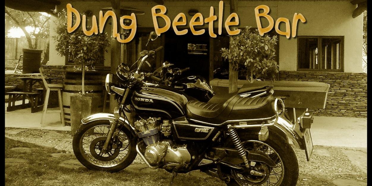 DungBeetleBar's profile banner image