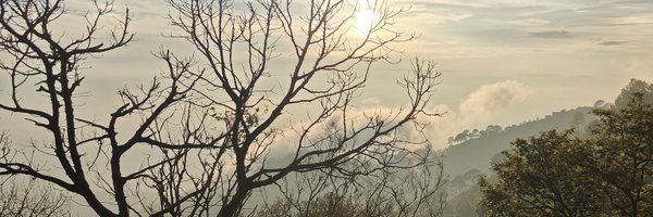 mayank_opines Profile Banner