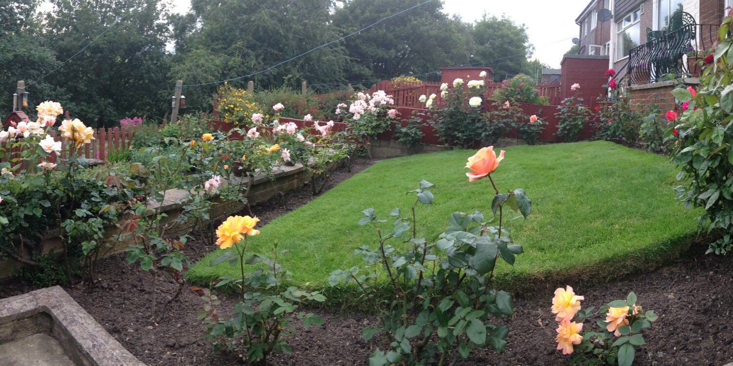 #hellomynameisHelen banner