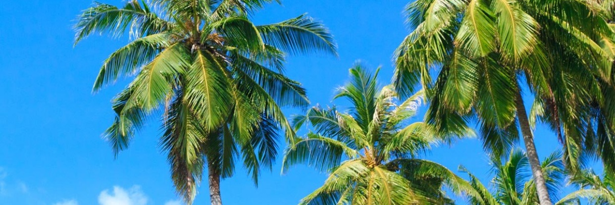 _chachiiii's profile banner image
