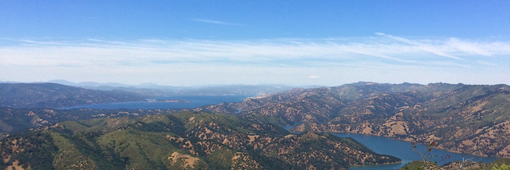 Dachin Frances banner