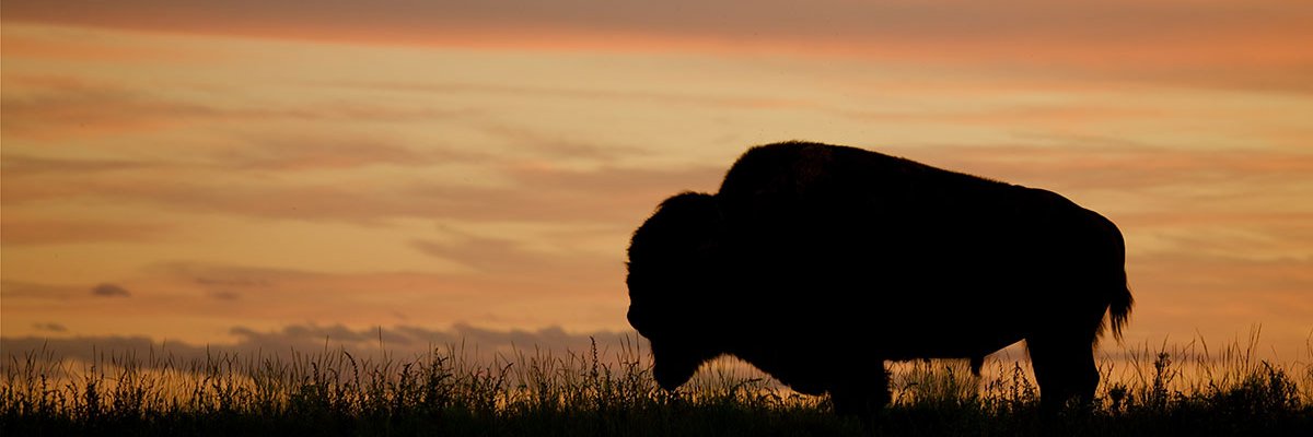 br80595755's profile banner image