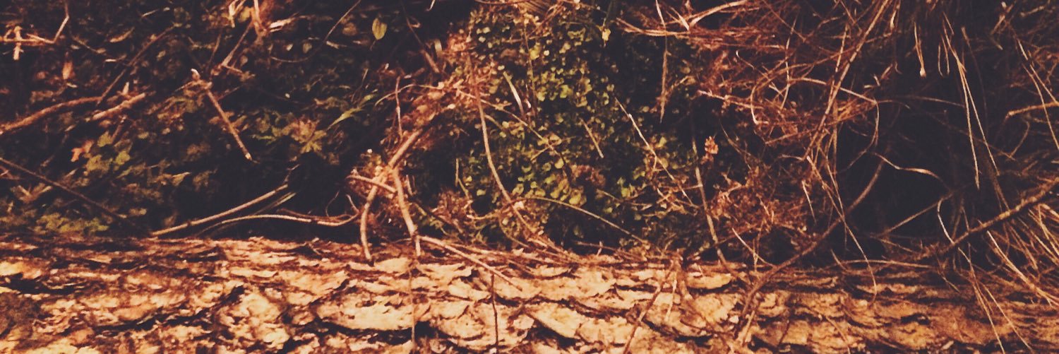 brycewoode's profile banner image
