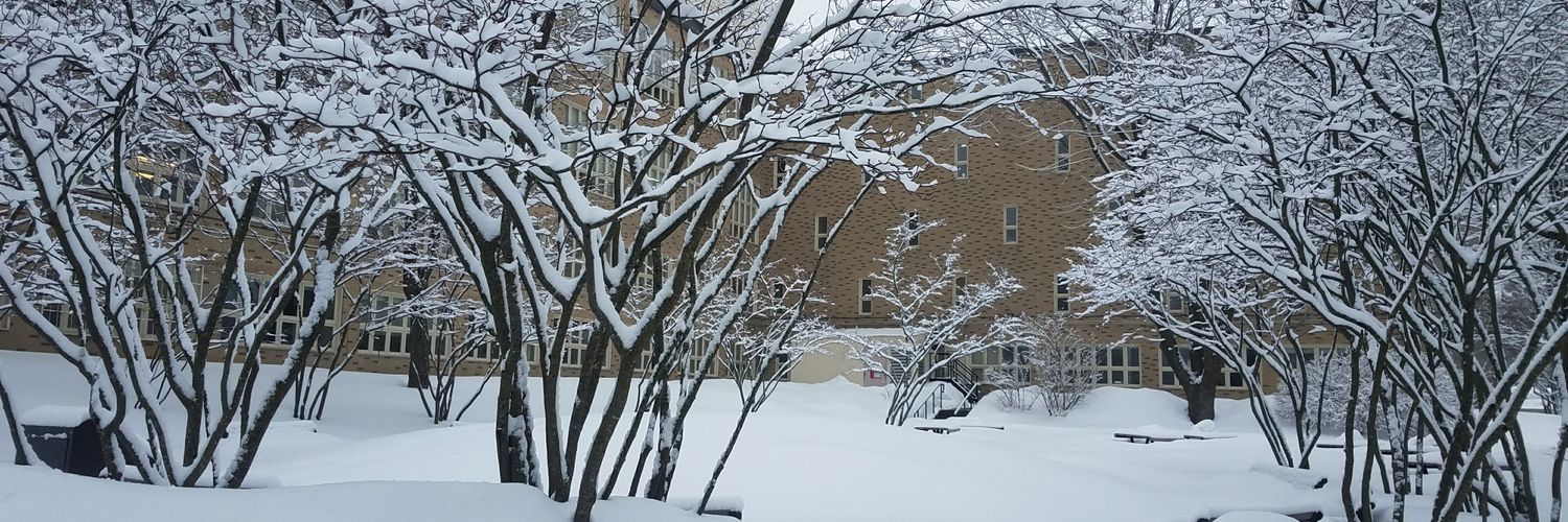 Jeanette Sautner banner