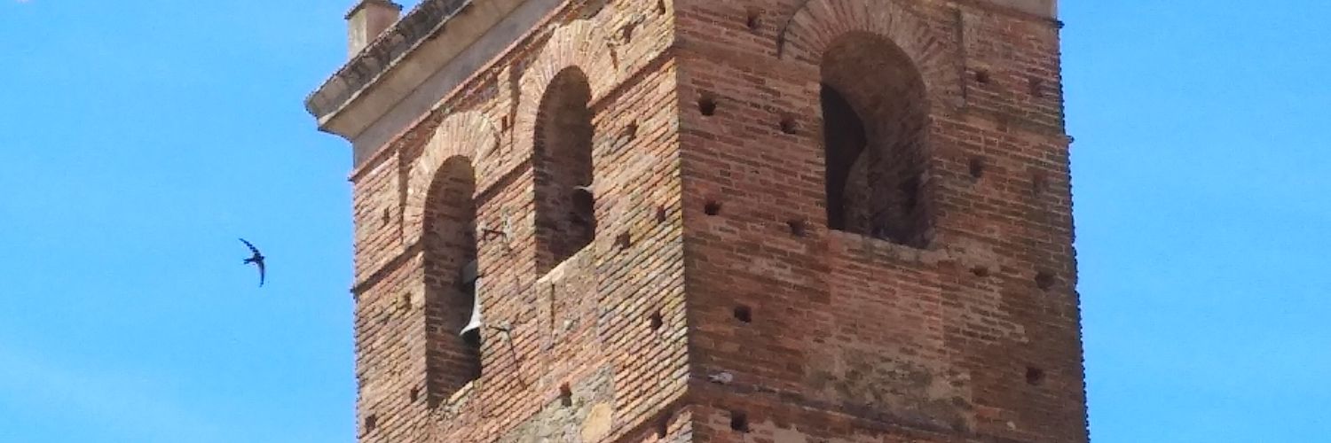 Gregorio Serrano Hoyo banner