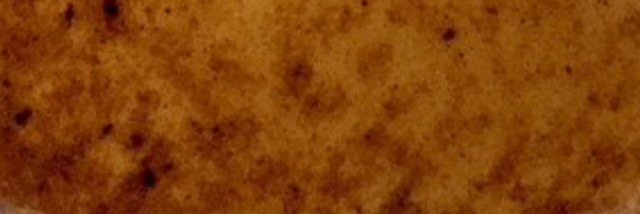 Wild Gift Coffee banner