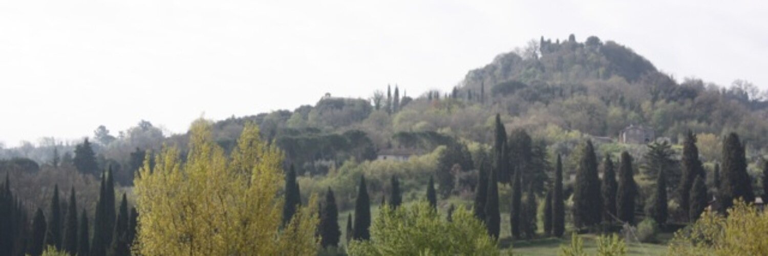 BellaVitaInt's profile banner image
