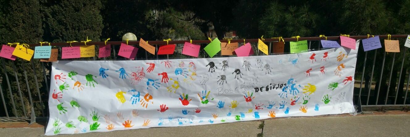 Mònica Vallès banner