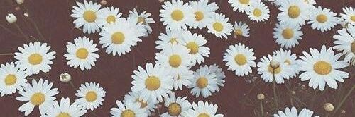 bibi_bitelo's profile banner image