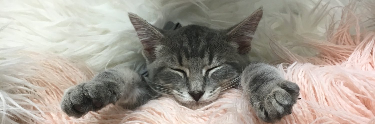 Burd_Elise's profile banner image