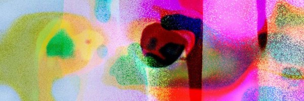 lilli_eye Profile Banner