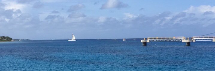 laurenforeign's profile banner image