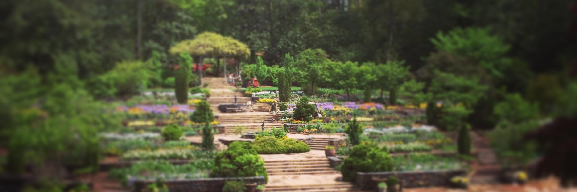 Duke Digital Health banner