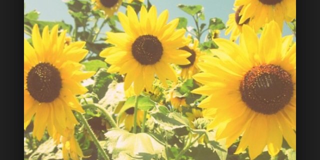 _ChinaMade's profile banner image
