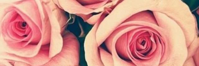 celinaschrapp's profile banner image