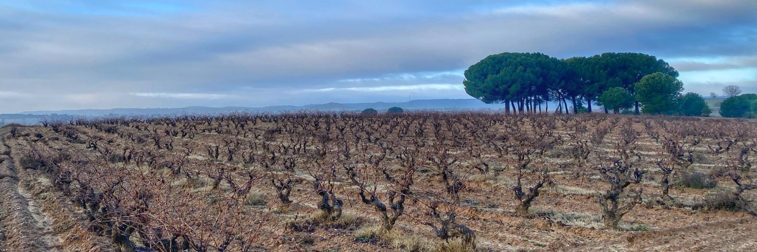 Ribera Del Duero banner