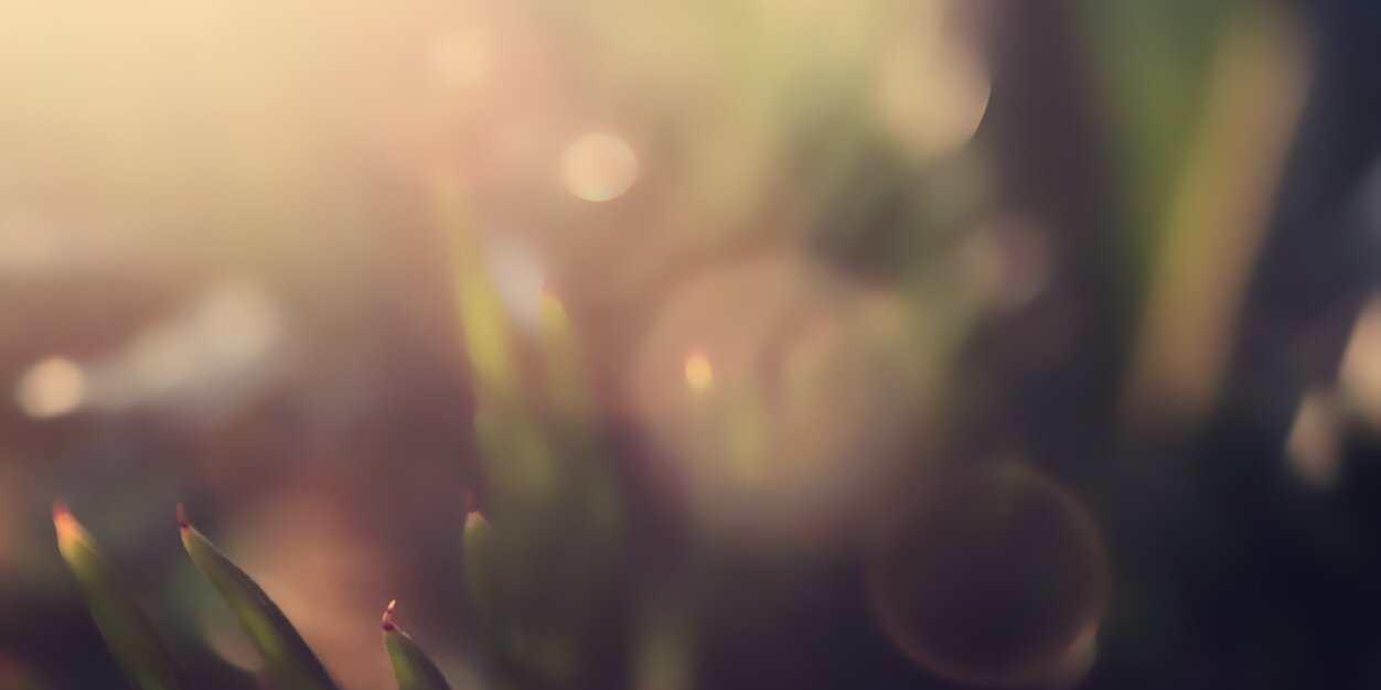 SharePoint_Blog's profile banner image