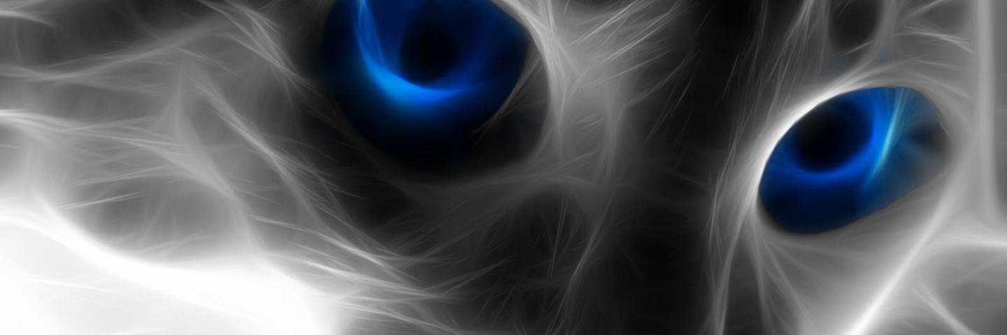 kiku7435's profile banner image