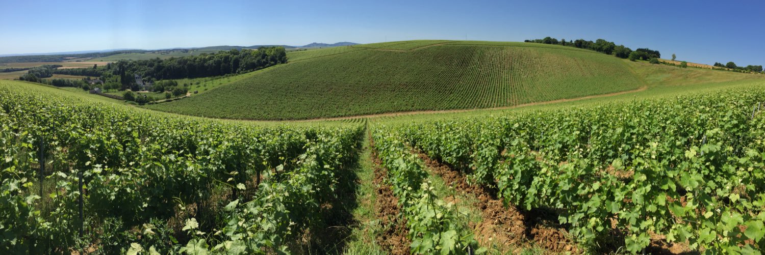 baronsancerrois's profile banner image