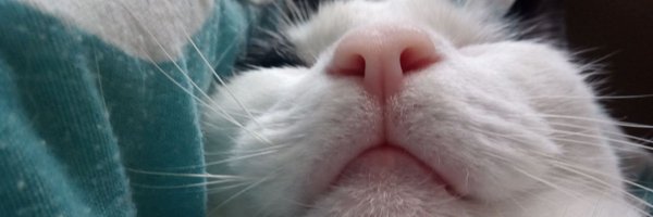 mrjimifletcher Profile Banner