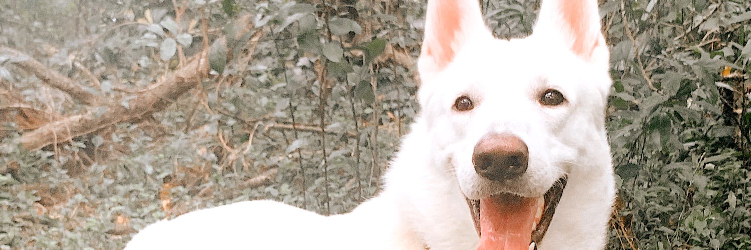 hailess_'s profile banner image