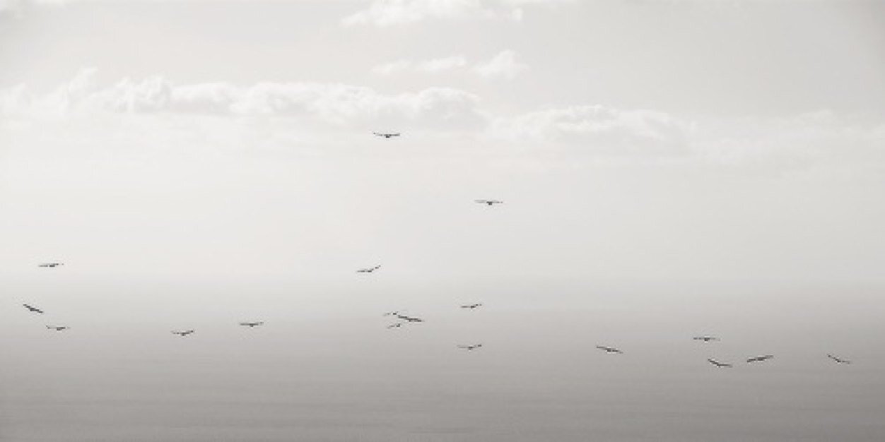 DanielRPGUTD's profile banner image